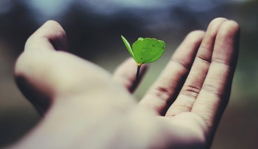 Fully Funded Business Support Services Announced