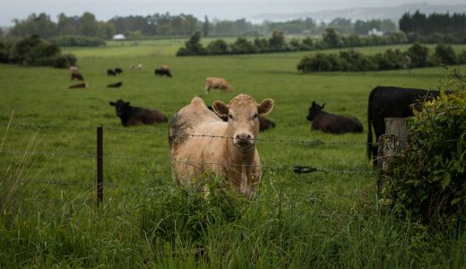 Understanding Farm Accounting - Deductions and Tax Implications